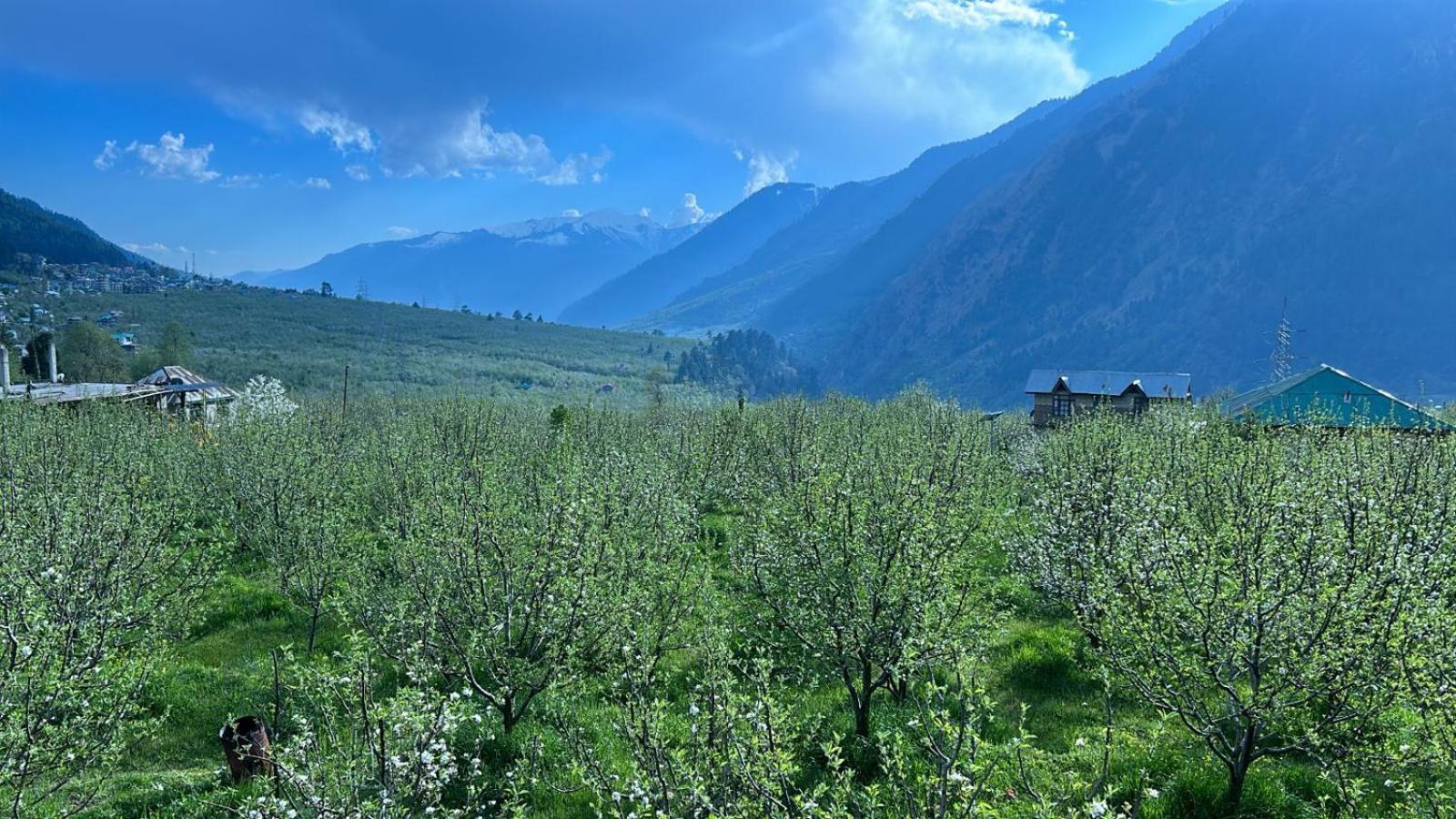 The Hideout - Hiraeth Hostel Manali  Exterior photo