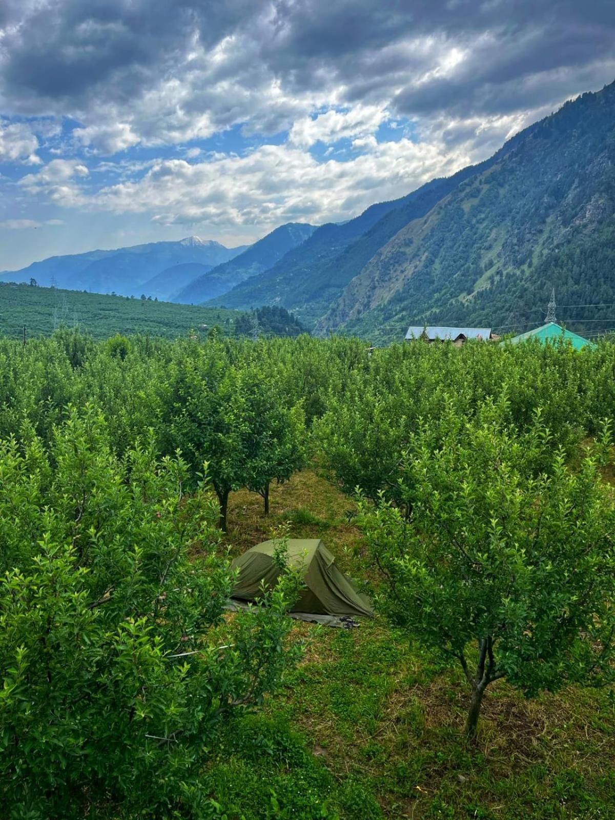 The Hideout - Hiraeth Hostel Manali  Exterior photo